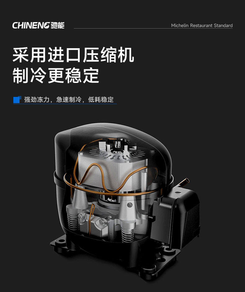 牛肉熟成柜采用進口壓縮機