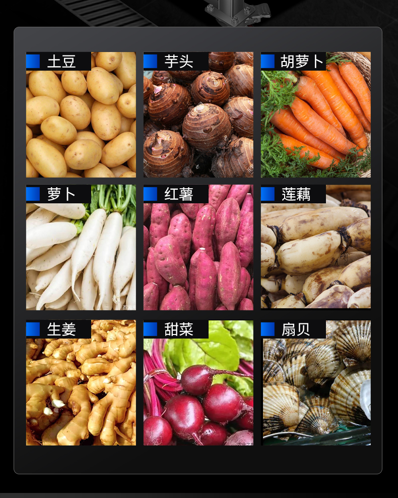 毛刷去皮機(jī)適用蔬菜